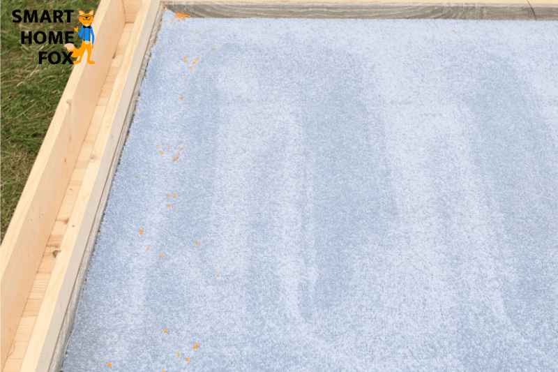 Очищенный ковер после уборки  iRobot Roomba i7